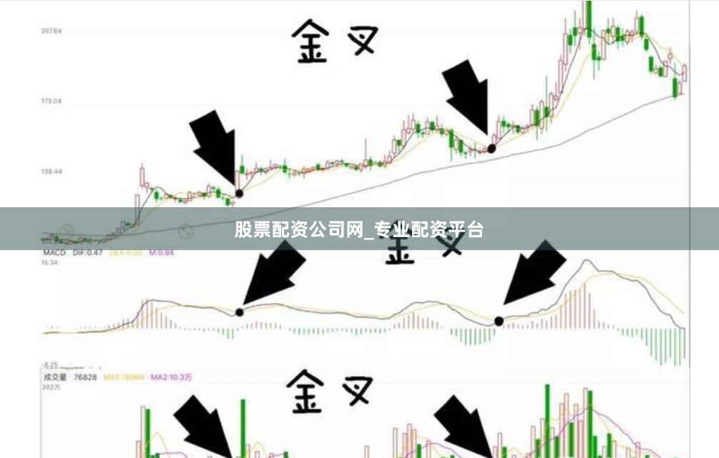 股票配资公司网_专业配资平台
