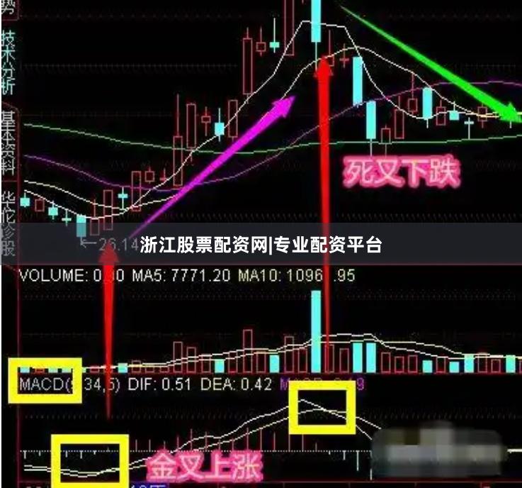 浙江股票配资网|专业配资平台