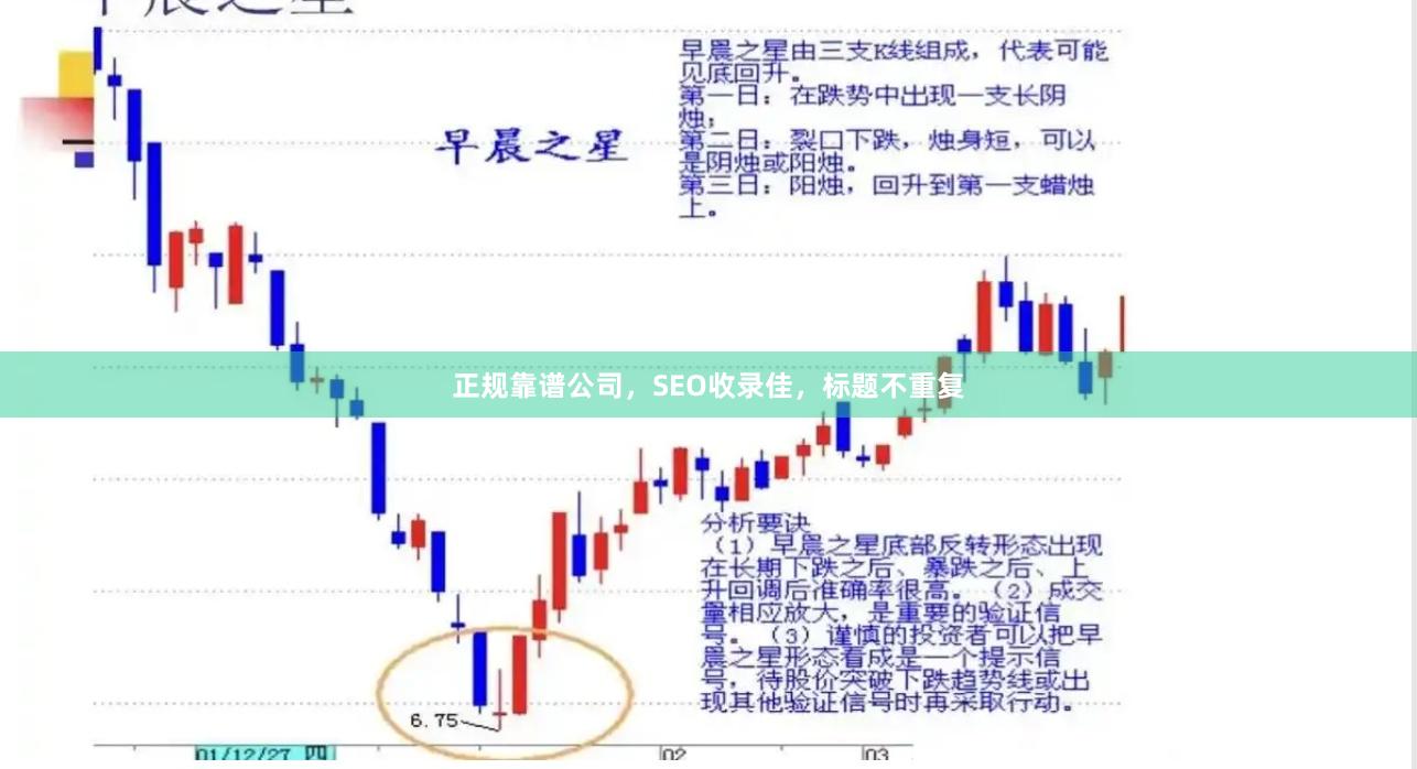 正规靠谱公司，SEO收录佳，标题不重复