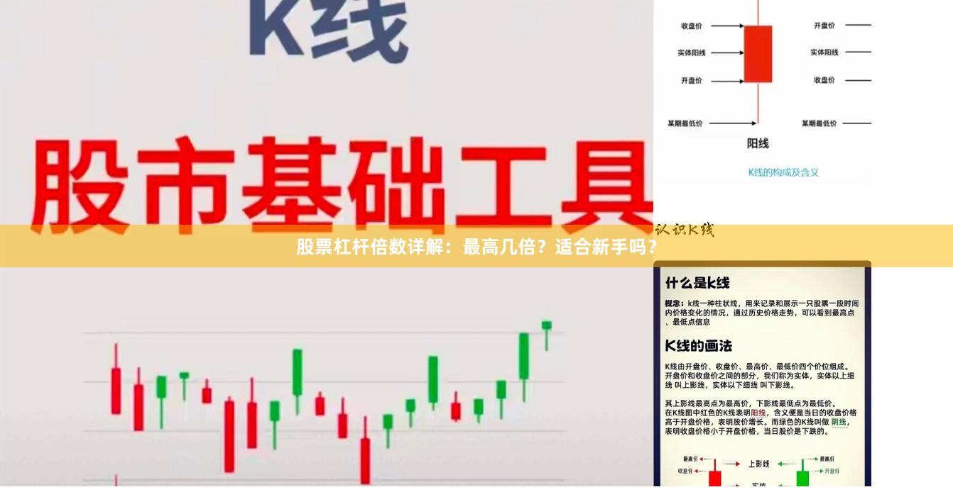 股票杠杆倍数详解：最高几倍？适合新手吗？