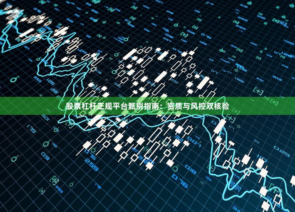 股票杠杆正规平台甄别指南：资质与风控双核验