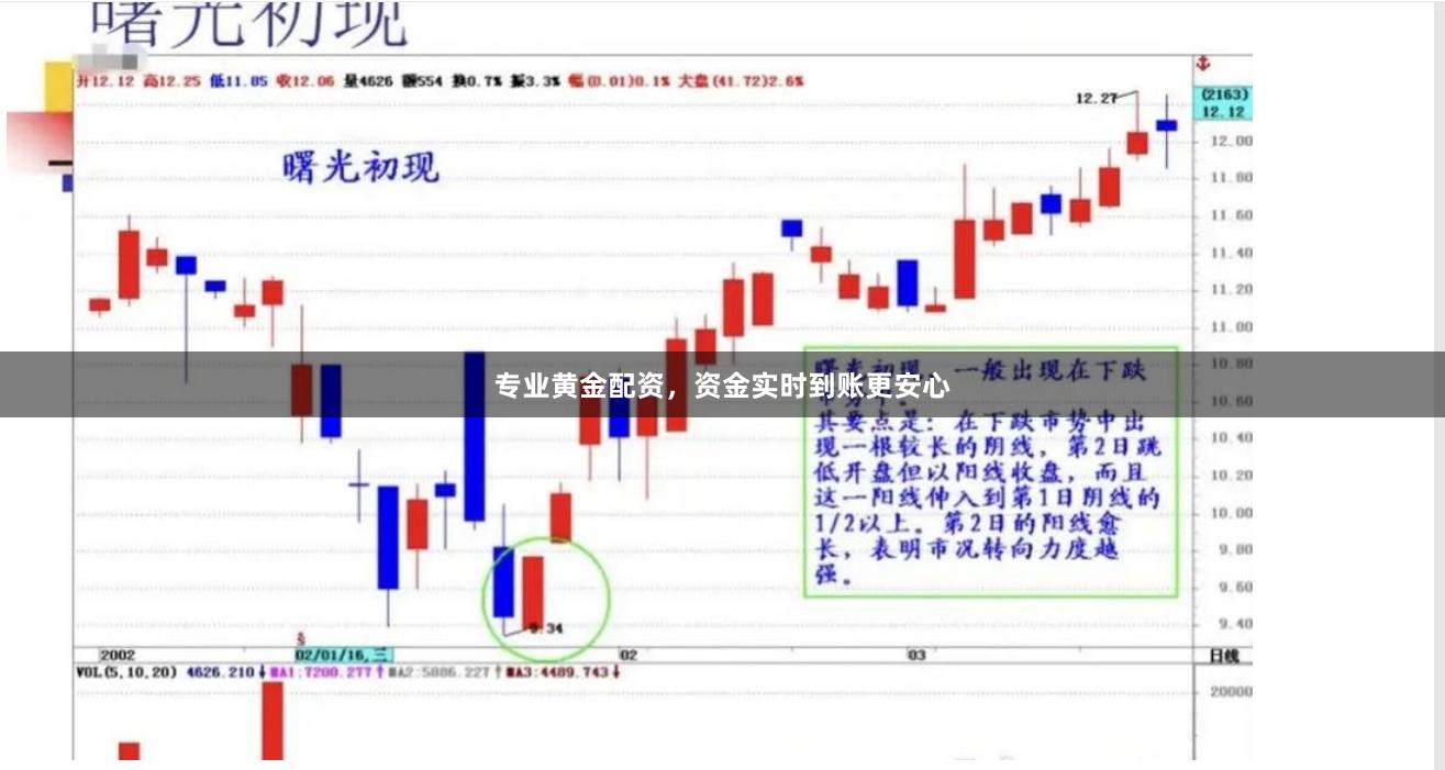 专业黄金配资，资金实时到账更安心